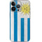 Uraguay Flag Distressed iPhone 14 Pro Skin